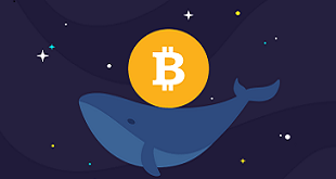 نهنگ ها در بازار ارز دیجیتال